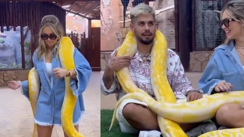 Virgínia Fonseca é detonada ao aparecer dançando com cobra no pescoço - Reprodução/TikTok