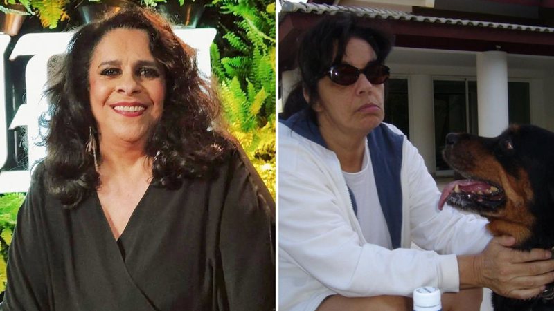 Viúva de Gal Costa é massacrada pelos fãs após publicar foto: "Desrespeitoso" - Reprodução/ Instagram