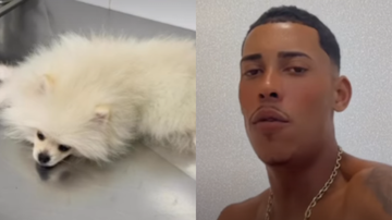 MC Poze do Rodo se desespera ao descobrir que cachorro ingeriu maconha: "Coração apertou" - Reprodução\Instagram