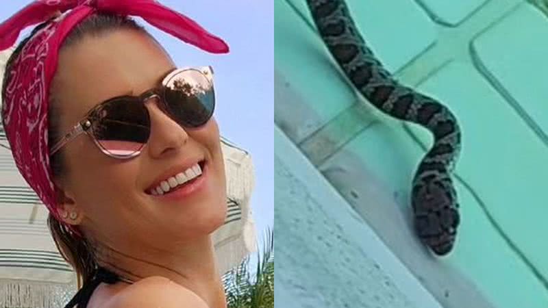 Lívia Andrade tem banho de piscina interrompido por cobra e assusta fãs - Reprodução/Instagram