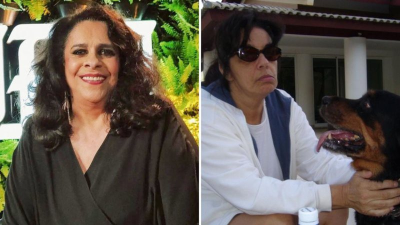 Amigos denunciam viúva de Gal Costa - Reprodução/ Instagram