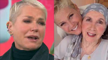 Emocionada, Xuxa Meneghel detalha milagre tocante durante coma da mãe: "Ela voltou" - Reprodução/TV Globo/Instagram