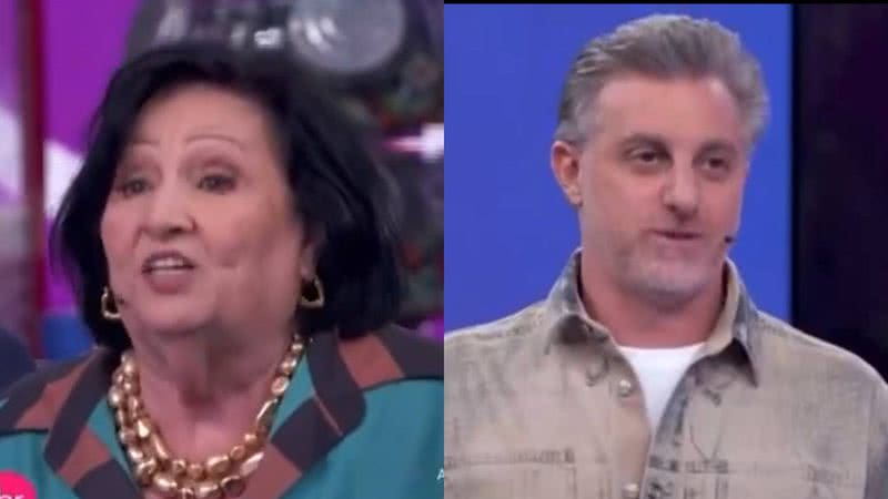 Déa Lucia polemiza ao expor doação de Luciano Huck ao RS: "Sem noção" - Reprodução/TV Globo