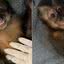 Montagem de fotos do macaco Rói