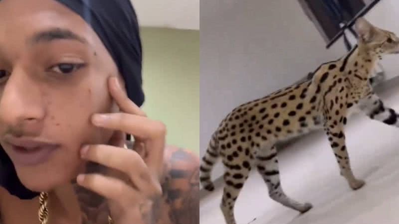 Oruam é atacado por gato de R$ 100 mil que é híbrido de felino selvagem - Reprodução/Instagram