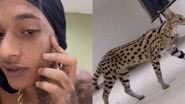 Oruam é atacado por gato de R$ 100 mil que é híbrido de felino selvagem - Reprodução/Instagram