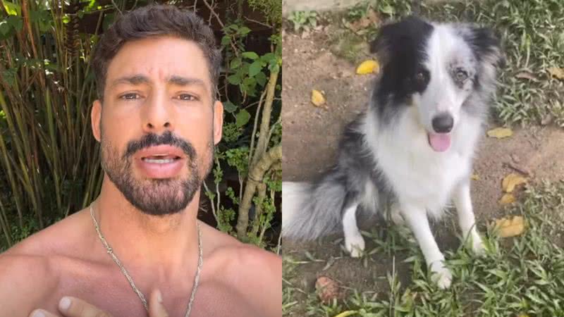 Cauã Reymond falou sobre o estado de saúde de Shakira - Reprodução/Instagram