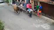 Boi estraga churrasco em cidade do Espirito Santo - Foto: Reprodução/Instagram