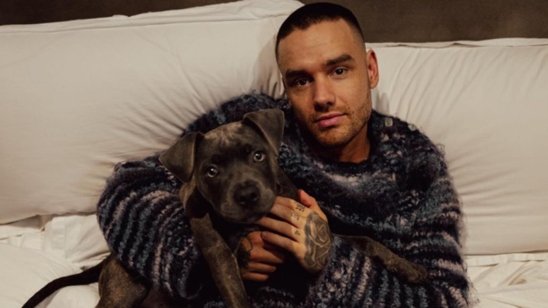 Liam Payne luta contra pensamentos suicidas - Reprodução/Instagram