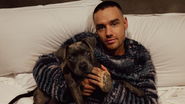 Liam Payne luta contra pensamentos suicidas - Reprodução/Instagram