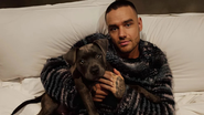 Liam Payne gravou reality para descobrir banda na Netflix antes de morrer - Reprodução/ Instagram