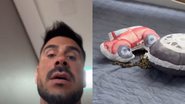 Gente? Julio Rocha se desespera ao encontrar serpente na cama dos filhos: ‘Quinta vez’ - Reprodução/Instagram