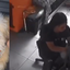 Vídeo: Cachorro de 8 meses morre durante durante tosa em pet shop