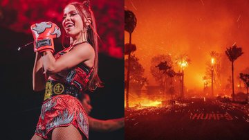 Anitta faz apelo por doações após incêndios em Los Angeles - Reprodução/Instagram