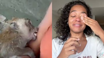 Influenciadora mordida por macaco na Tailândia retorna ao Brasil com reação alérgica - Reprodução/Instagram