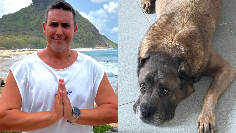 André Marques lamenta perda de sua cachorra Thora: 'Obrigado por tanto' - Reprodução/Instagram