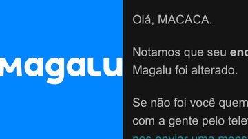 Mulher acusa Magazine Luiza de injúria racial em e-mail: 'Olá macaca' - Reprodução/