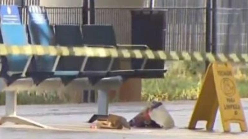 Bomba explode no Terminal Pinheiros em SP; polícia desarma segundo explosivo - Reprodução