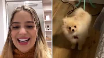 Mãe de pet! Ex-BBB Viih Tube mostra closet chiquérrimo dos seus cachorros: "Eu mimo demais" - Reprodução/Instagram