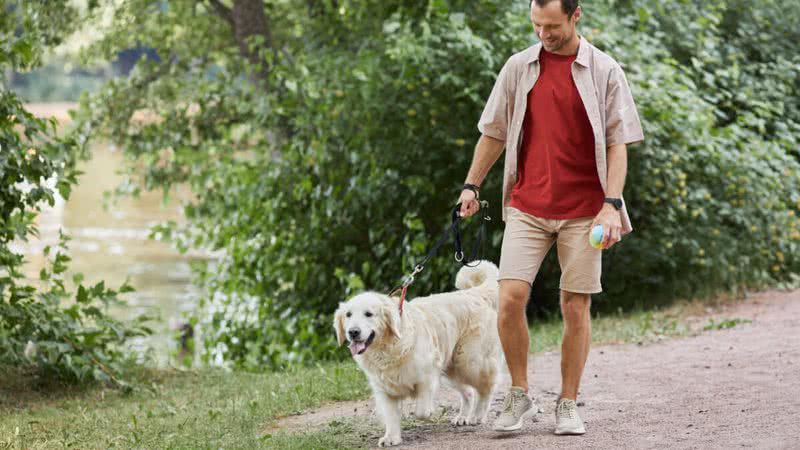 Passear com regularidade pode ajudar o animal a estabelecer uma rotina consistente (Imagem: SeventyFour | Shutterstock)