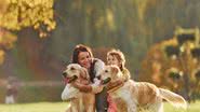 Goldens são ótimos companheiros para família (Imagem: Standret | ShutterStock)