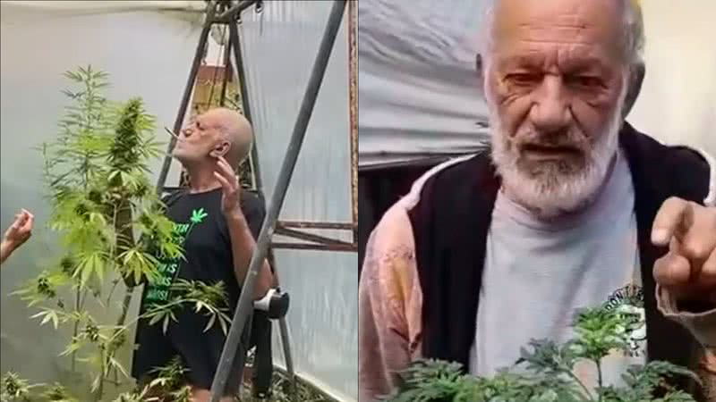 Ator de 'Os Dez Mandamentos' mostra plantação de maconha em casa: "Me salvou" - Reprodução/Instagram