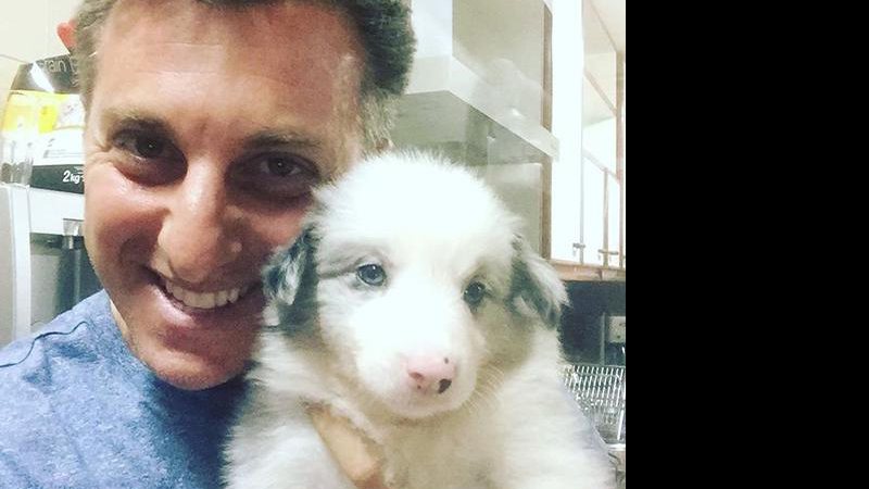 Luciano Huck e novo pet - Reprodução/ Instagram