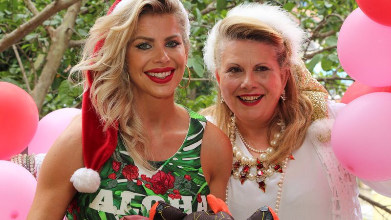 Karina Bacchi realiza sua tradicional Festa de Natal, em prol da ONG Florescer - Fotos:Amauri Nehn/Brazil News