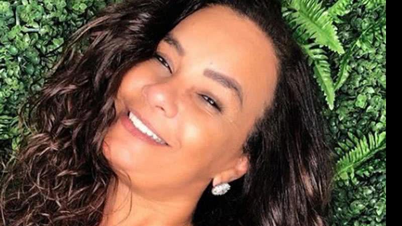 Solange Couto anuncia fim do casamento: 'Ficou nosso respeito' - Reprodução