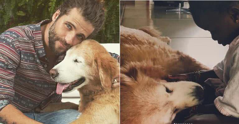 Bruno Gagliasso lamenta a morte de seu cachorro: 'Que dor' - Reprodução / Instagram