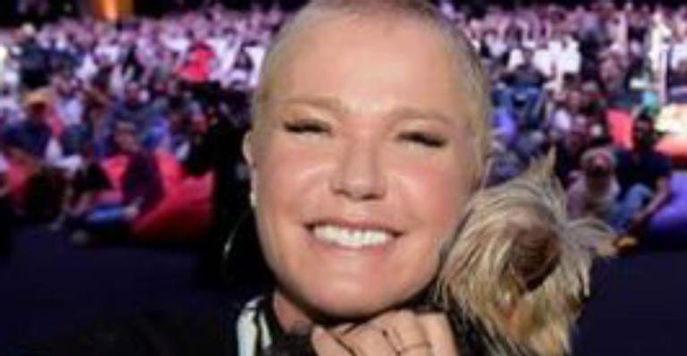 Retorno? Xuxa Meneghel abre o jogo sobre possível volta aos palcos - Reprodução / Instagram