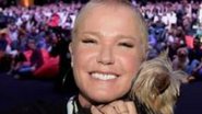 Retorno? Xuxa Meneghel abre o jogo sobre possível volta aos palcos - Reprodução / Instagram