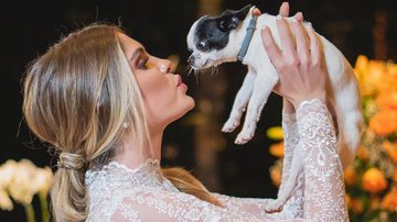 Bárbara Evans cai no choro ao revelar incidente grave com seu cachorro, Enrico - Reprodução/Instagram