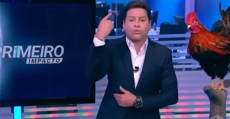 Marcão do Povo é suspenso pela direção do SBT após declarações em programa ao vivo - SBT