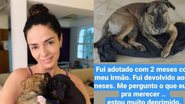 A ONG responsável pela a adoção explicou detalhes da situação e causou revolta nos internautas - Reprodução/Instagram