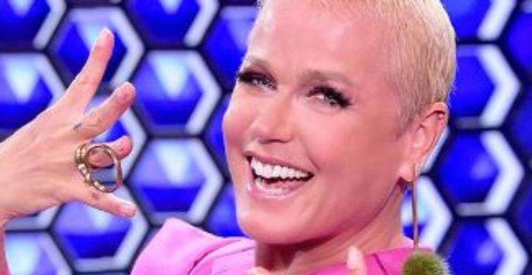 De casa nova? Xuxa Meneghel recebe aval para retornar à Globo, revela colunista - Reprodução