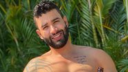 Gusttavo Lima posa em seu jatinho avaliado em R$180 milhões - Reprodução/Instagram