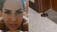 Graciele Lacerda é surpreendida após ter cozinha invadida por animal - Instagram