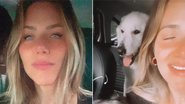 Giovanna Ewbank registra perrengue fofo com cachorros de estimação - Instagram