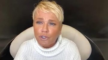 Xuxa Meneghel fala sobre abuso que sofreu na infância - YouTube