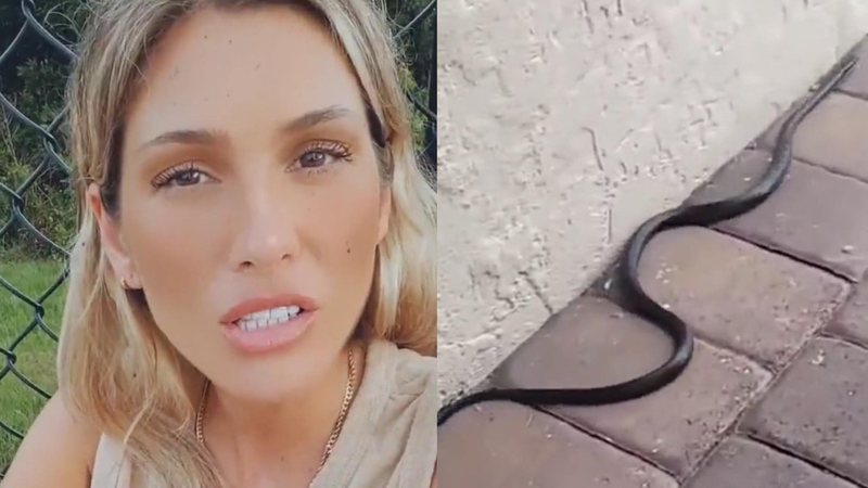 Lívia Andrade se depara com cobra em sua casa e relata: “Ela vinha na minha direção, mas não levei chibatada” - Reprodução/Instagram