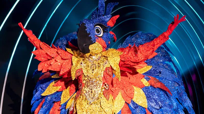 The Masked Singer Brasil: Arara perde duelo para Monstro e se emociona ao revelar identidade - Reprodução/Globo