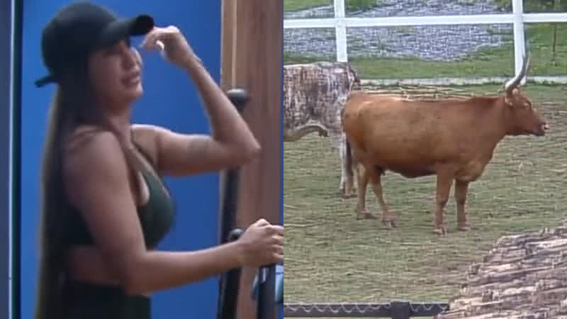 Marina Ferrari se nega a cuidar das vacas em 'A Fazenda 13' - Reprodução/RecordTV