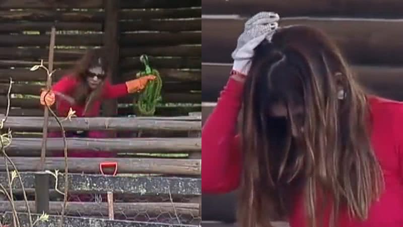 A Fazenda: Ingrid sofre acidente durante cuidado com animais - Reprodução/Record TV