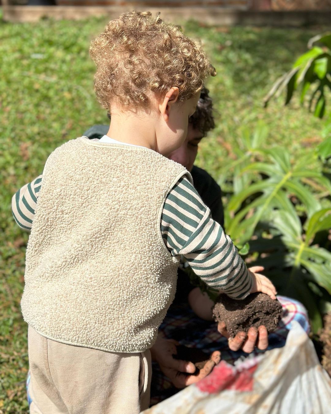 Jayme Matarazzo planta flores