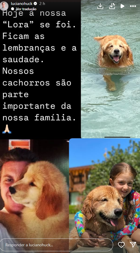 Luciano Huck lamentou a morte de uma de suas cachorras (Foto: Reprodução/Instagram)