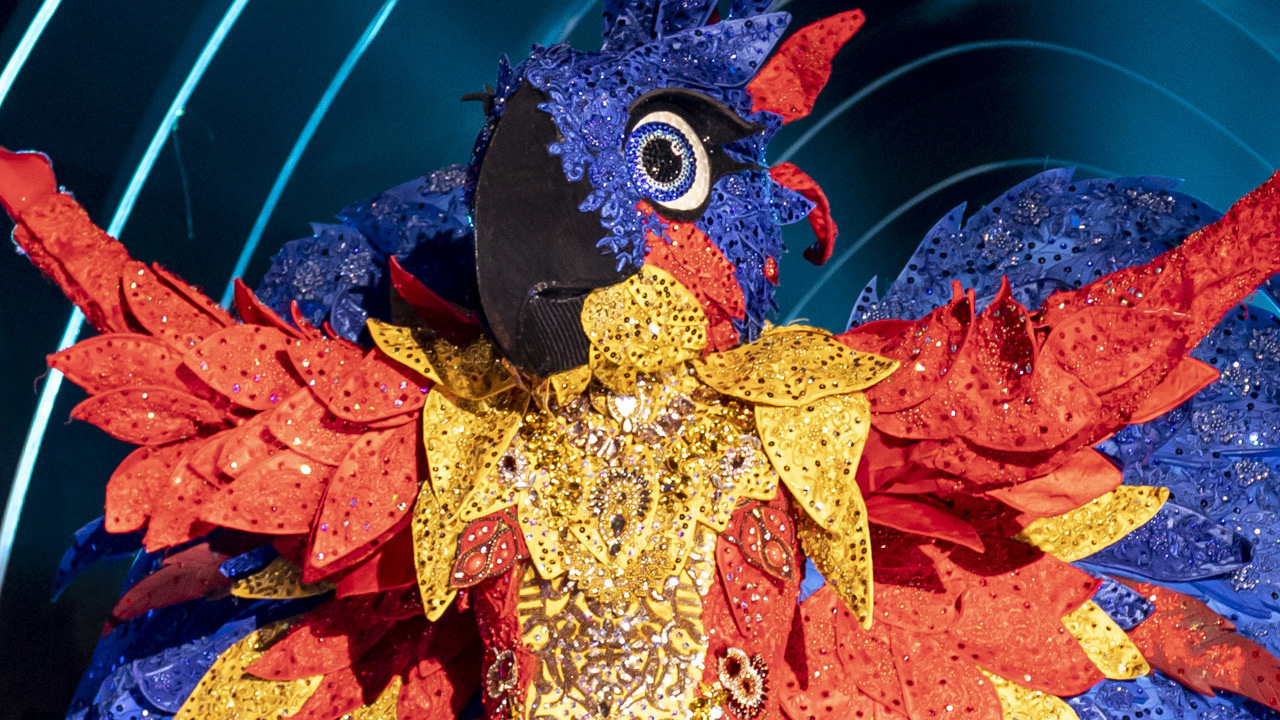 Arara do 'The Masked Singer'