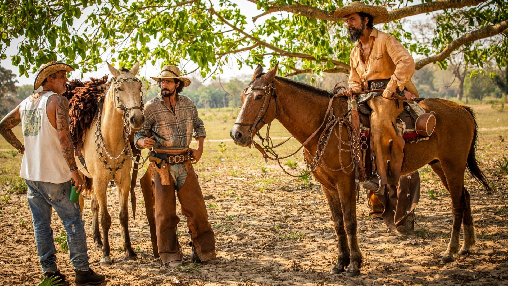 Bastidores de Pantanal