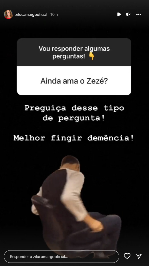 Print retirado dos Stories de Zilu Camargo