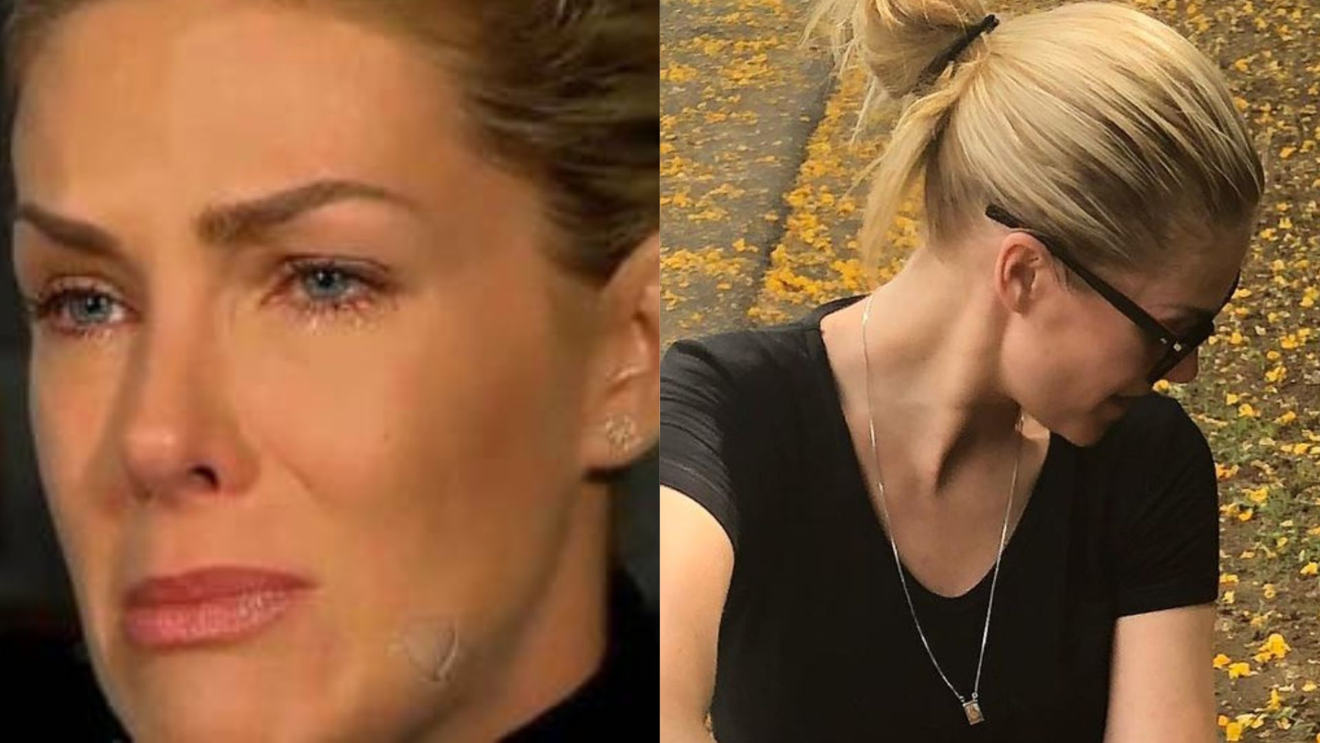 Ana Hickmann lamenta morte da companheira canina e se emociona: “13 anos mais felizes”